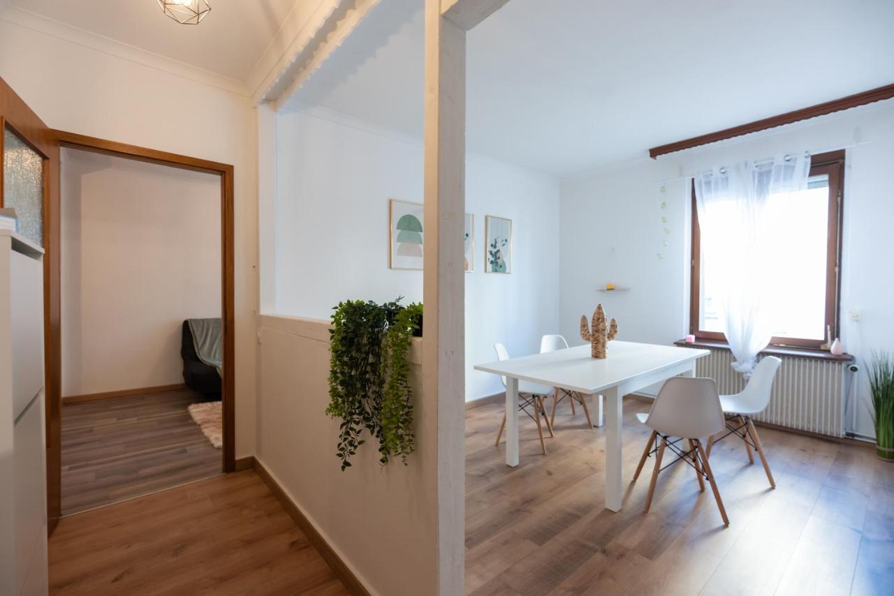 Appartement Cosy De 80 M2 Mülhausen Exterior foto